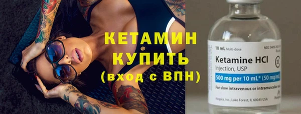 сатива Абинск