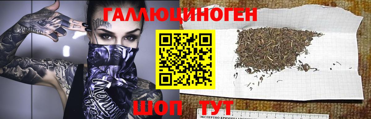 Татарск  Псилоцибиновые грибы Cubensis  Псилоцибиновые грибы MAGIC MUSHROOMS  Вход с VPN 