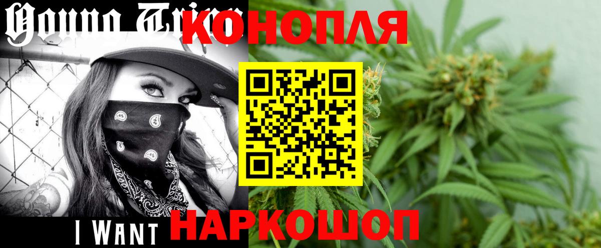 Конопля индика Татарск